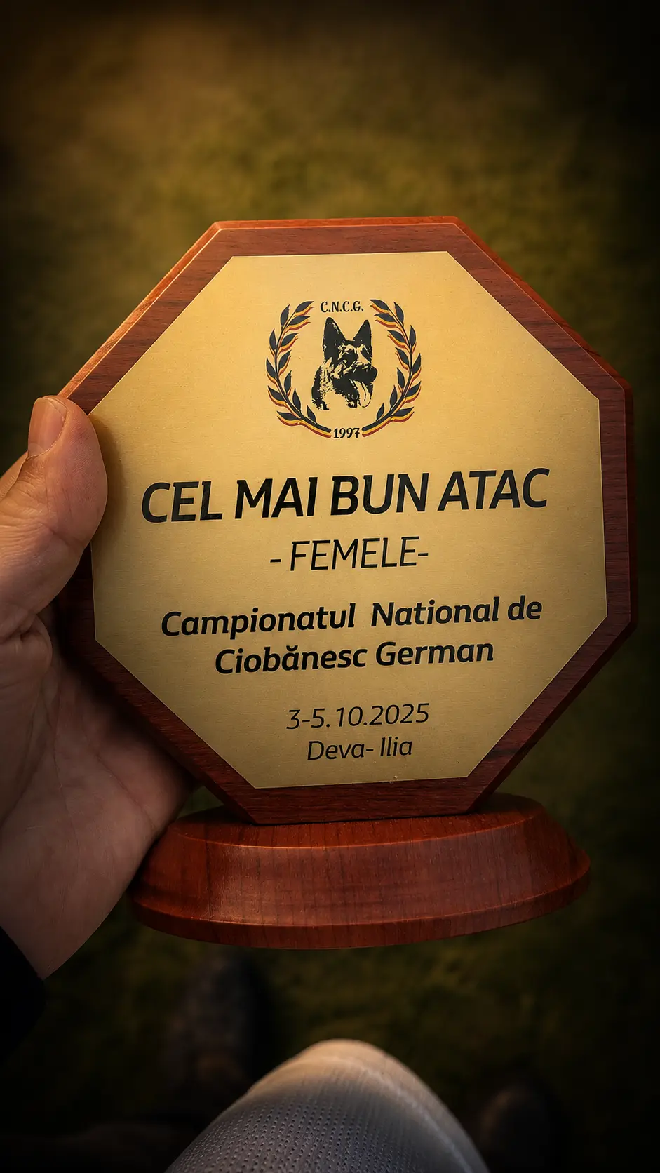 Kelliy von Hingabe — trofeu Cel mai bun atac, Campionat Național 2025